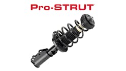 Pro-STRUT